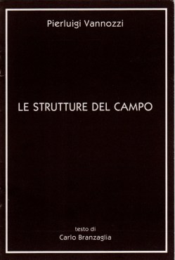 Le strutture del campo - copertina del catalogo - testo di Carlo Branzaglia Bologna 1990